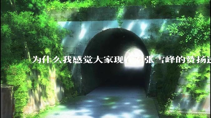 为什么我感觉大家现在对张雪峰的赞扬过度了？